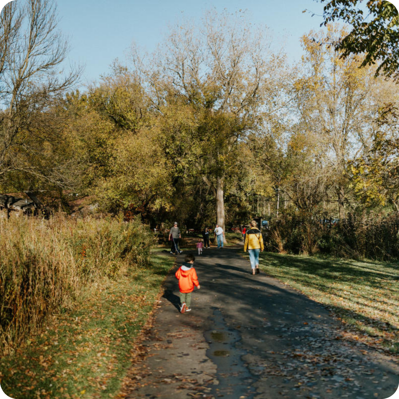Photo of a family walking around Quarry Hill Park in Rochester MN in the fall